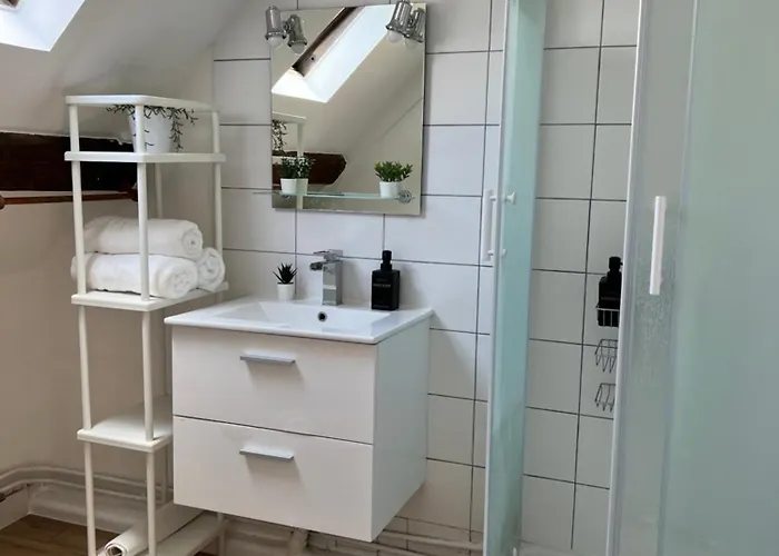 Appart Asterix Cdg Parc Expo Paris Chantilly Plailly