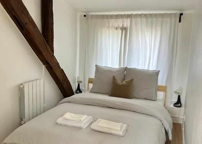 Appart Asterix Cdg Parc Expo Paris Chantilly Plailly